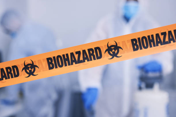 Professional Hoarding Cleanup technician working in Bridgeport, MI